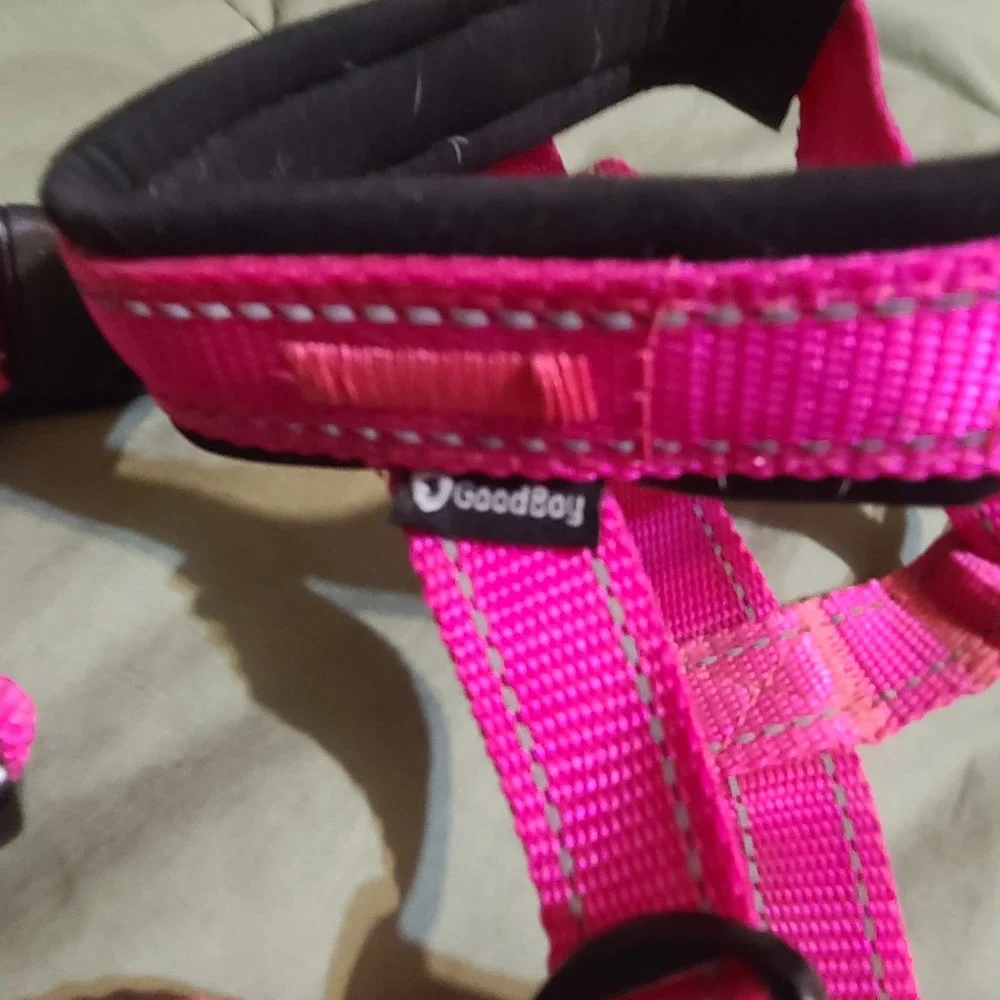 GoodBoy Hot Pink Padded No-Pull Dog Halter Muzzle Size 2 Adjustable Large Dog‎